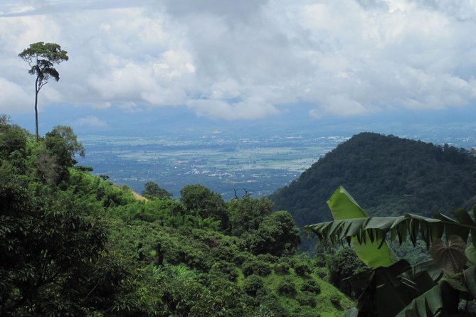 No.1 Chiang Mai: Advanced Downhill Mountain Biking, Suthep N.Park - Reviews and Recommendations