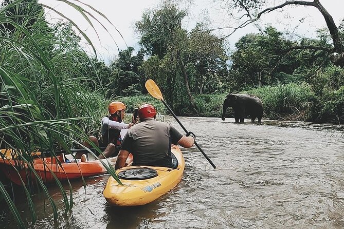 No.1 Chiang Mai : White Water Kayaking: Mae Wang Jungle River - Safety Measures in Place