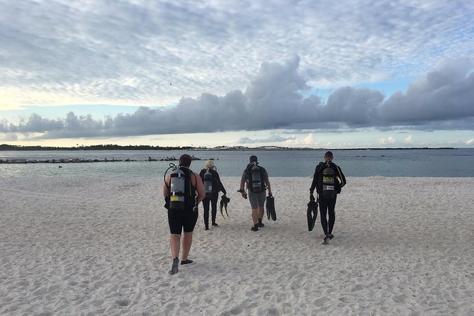 No Experience Required to Discover Scuba in Florida - Tour Highlights