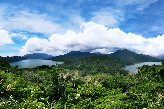 North Bali Tour - Visiting Rice Terrace, Lake, Waterfall, Temple and Hot Spring - Highlights of the Journey