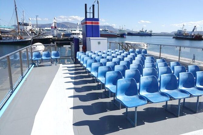 Northern Lights Boat Cruise From Reykjavik - Meeting and Departure
