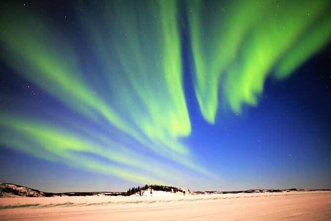 Northern Lights Tour Yellowknife - Pricing and Availability