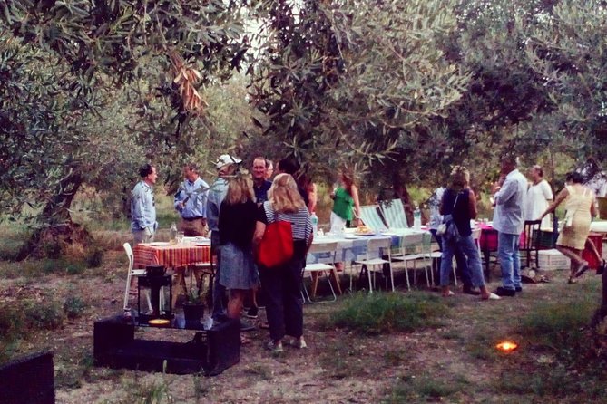 Noto Organic Farm Tour and Lunch or Dinner  - Sicily - Explore Citrus and Olive Groves