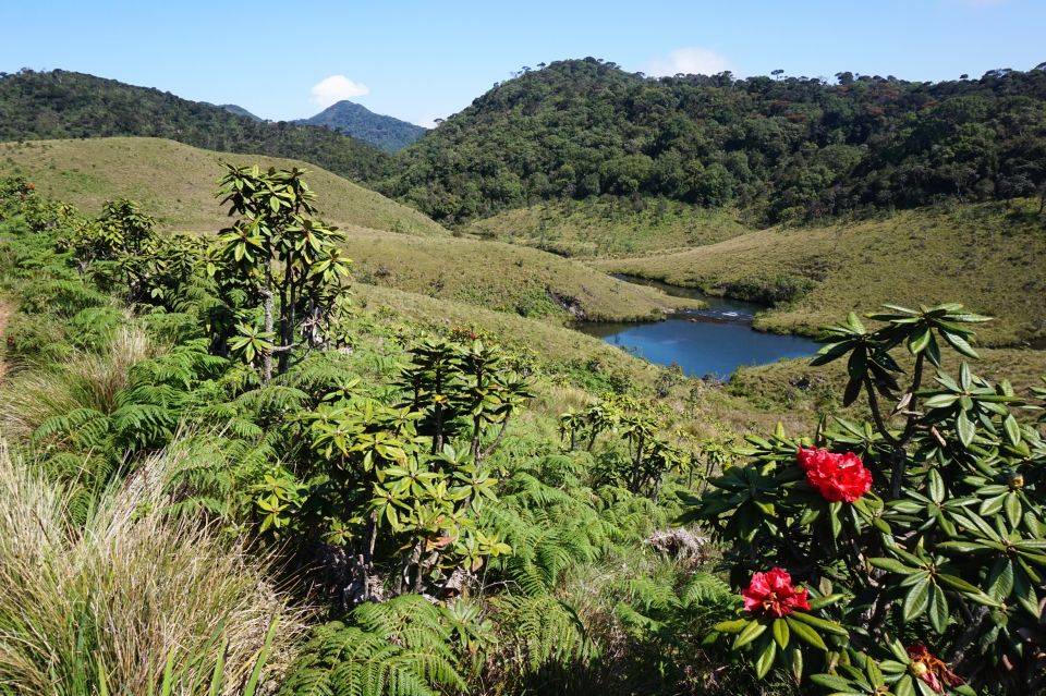 Nuawara Eliya: Horton Plains and Tea All-Inclusive Tour - Itinerary and Attractions