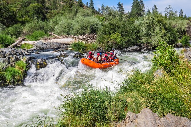 Nugget Falls Class IV Half-Day Rafting on the Rogue River - Meeting Point and Pickup Details