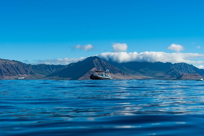 Oahu: 3-Hour Dolphin Swim and Snorkeling Speedboat Tour - Whats Included and Required