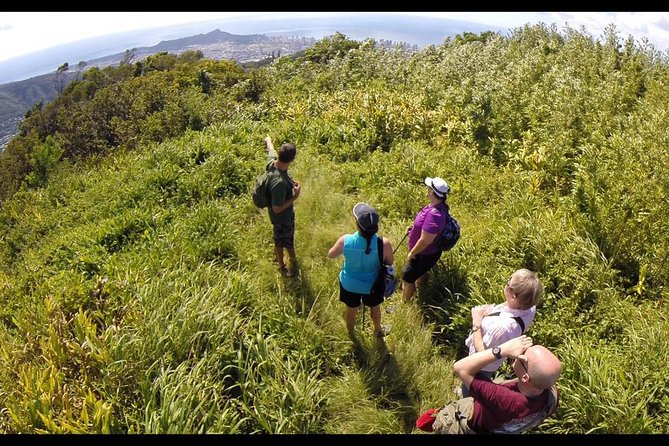 Oahu Volcanic Rainforest Hiking Adventure - Detailed Tour Information