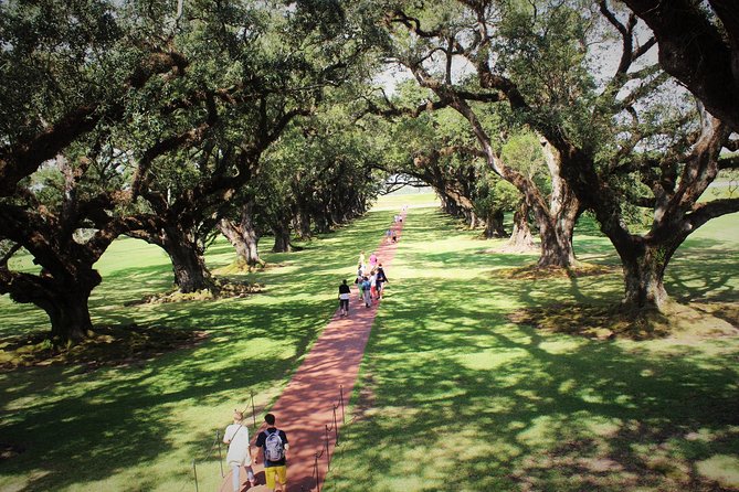 Oak Alley Plantation Tour With Transportation - What to Expect on Tour