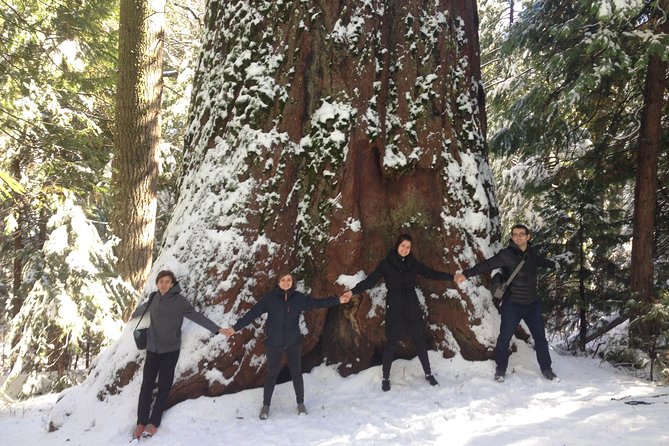 Off-Road Giant Sequoia 4x4 Tour - Scenic Hike Details