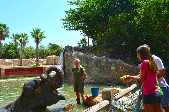 Offer Summer Terra Natura Entrance Ticket - Invisible Barriers and Experiences