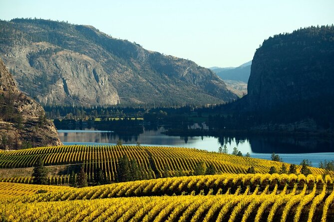 Okanagan Falls Wine Experience From Vernon - 4 Wineries - Inclusions
