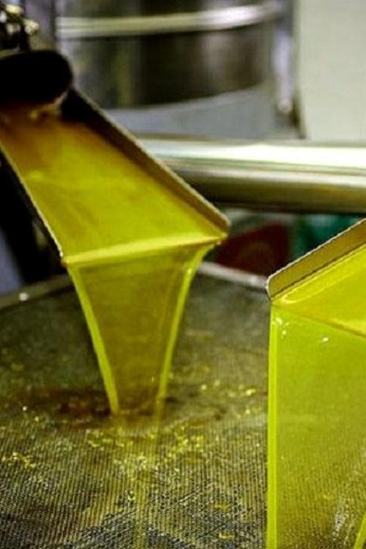 Olive Oil Tasting 3-Hour Trip From Chania Souda Cruise Port - Itinerary and Locations