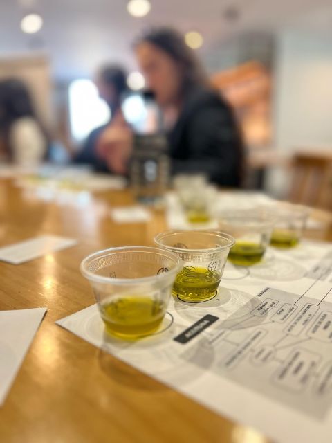 Olive Oil Tasting - Experience Highlights