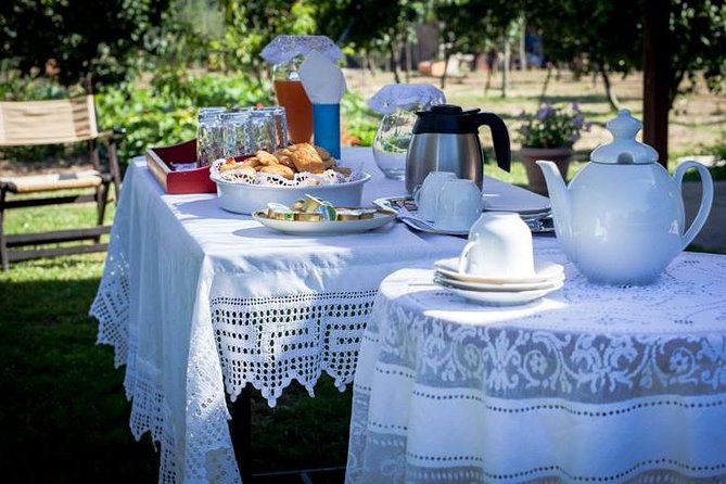 Olympia Shore Excursion: Ancient Olympia Plus Honey Farm & Olive Oil Tasting - Itinerary Highlights