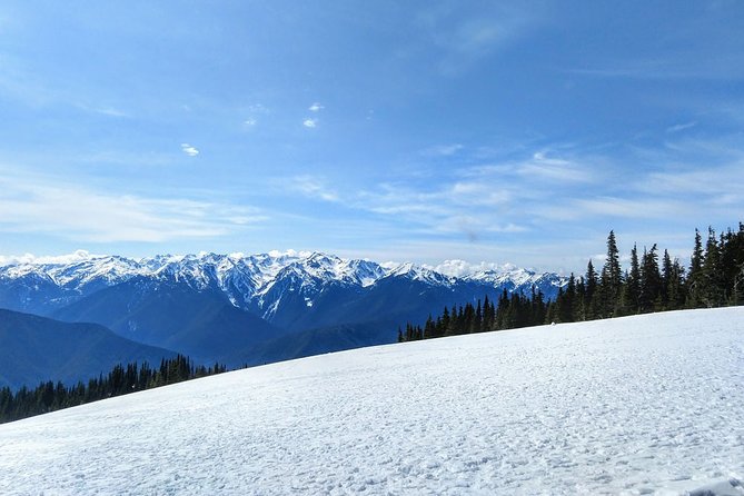 Olympic National Park - Private Luxury Day Tour With Lunch - Inclusions