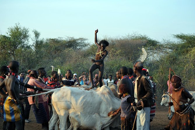 Omo Valley 5 Days - Accommodation and Meals