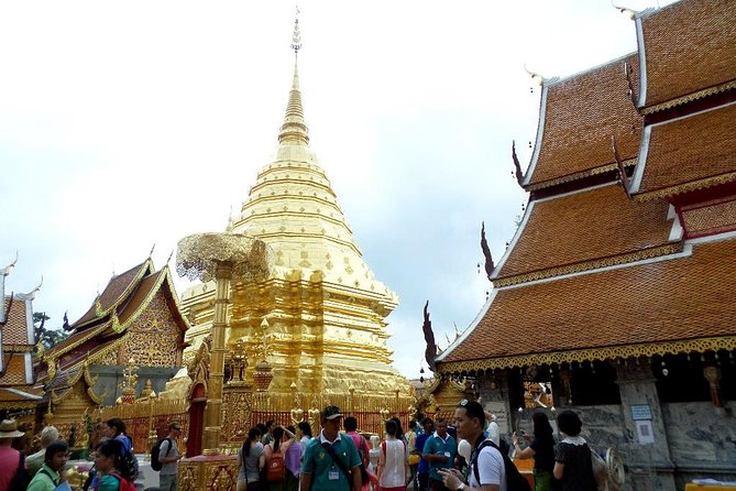 One Day Tour Doi Suthep Temple, Palad Temple, Orchid Farm, Longneck Hill Tribe Village (Private Tour) - Itinerary Highlights