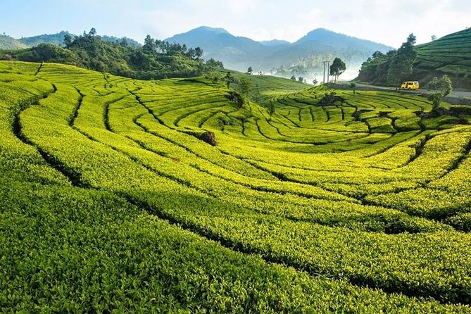 One Day Trip : Bogor Highland Waterfall Tour With Lunch - Tour Logistics and Details