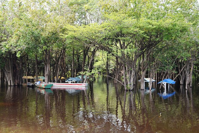 One Night Adventure in the Jungle - Itinerary Highlights