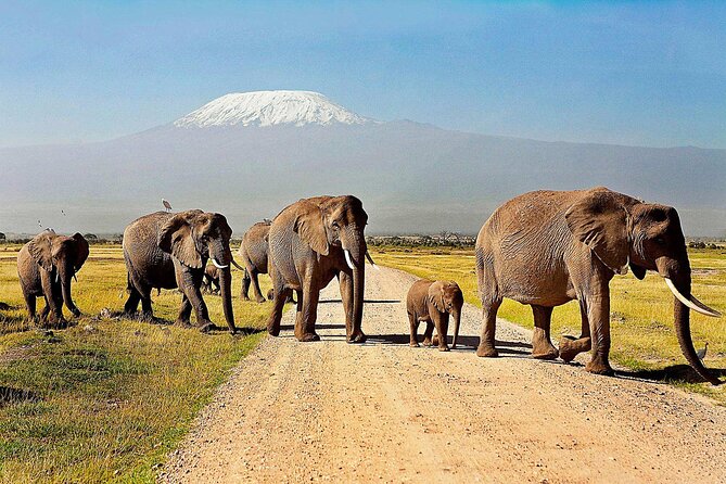 One Night (Mid-range) Amboseli National Park Safari - Meeting and Pickup Details