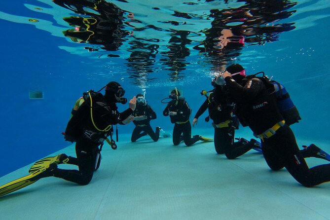 Open Water Diver Course in Arrabida Natural Park (Near Lisbon) - Certification and Training