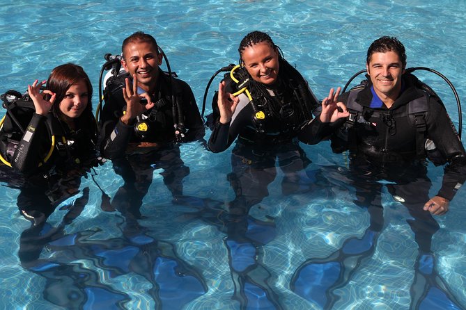Open Water Diver Scuba Diving Course in Puerto De Mogan - Inclusions and Fees