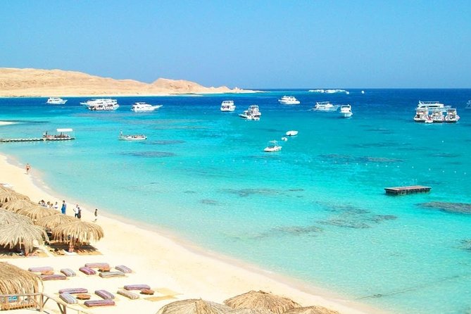 Orange Bay Full-Day Snorkeling With Lunch - Whats Included in the Package