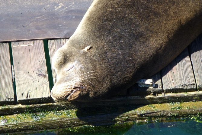 Oregon Coastal Tour: Florence to Yachats - Discovering Yachats Quaint Attractions
