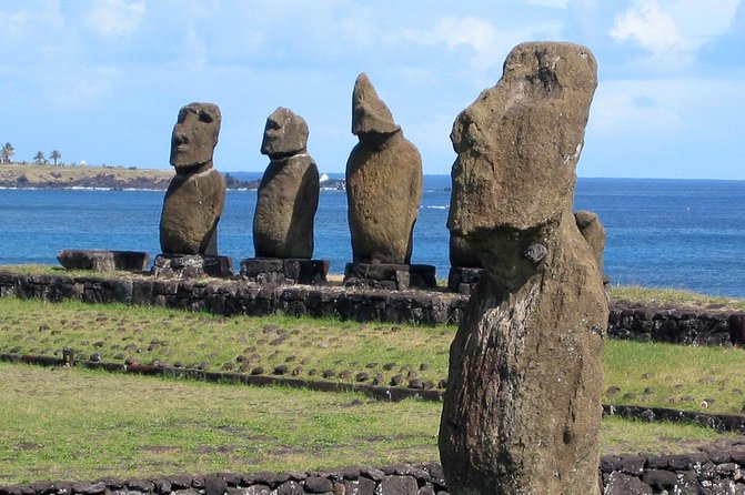 Orongo, Ahu Vinapu and Rano Kau Half Day Tour - Included Services