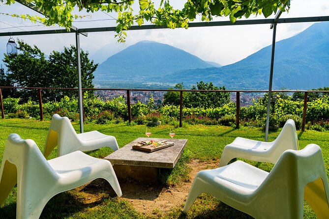 Ossola Valley Winery Tour With Tastings - An Exclusive Cellar Tour Experience