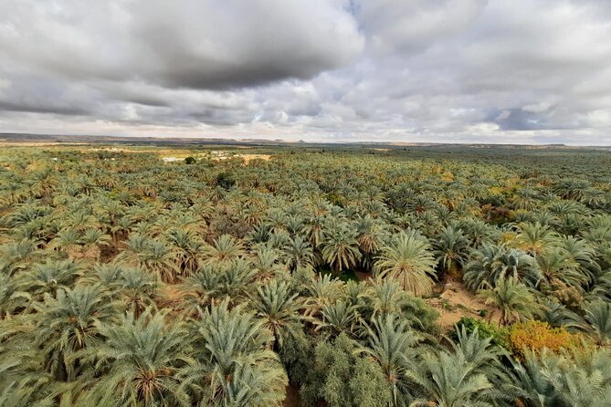 Overday Safari at White Desert and Black Desert - Inclusions of the Tour