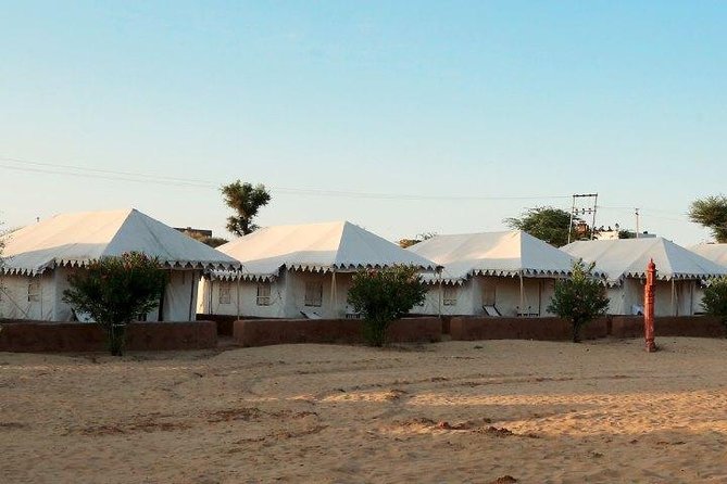 Overnight Camping With Camel Safari In Jodhpur - Unique Activities Included