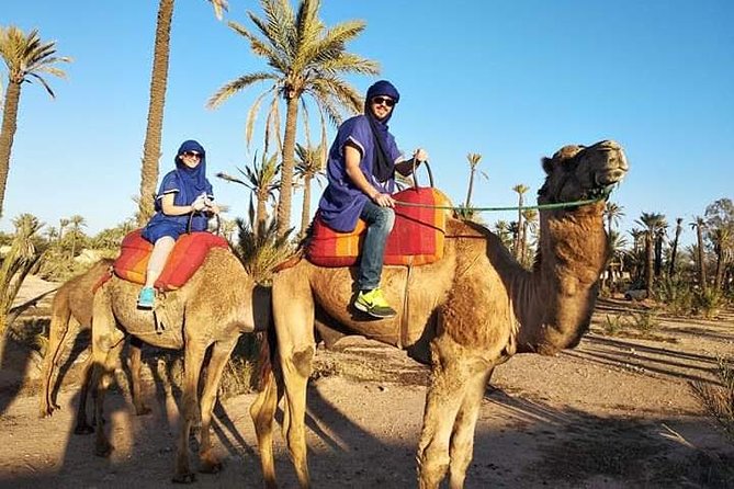 Overnight Luxury Desert Trip Form Fez To Fez - Accommodations and Amenities