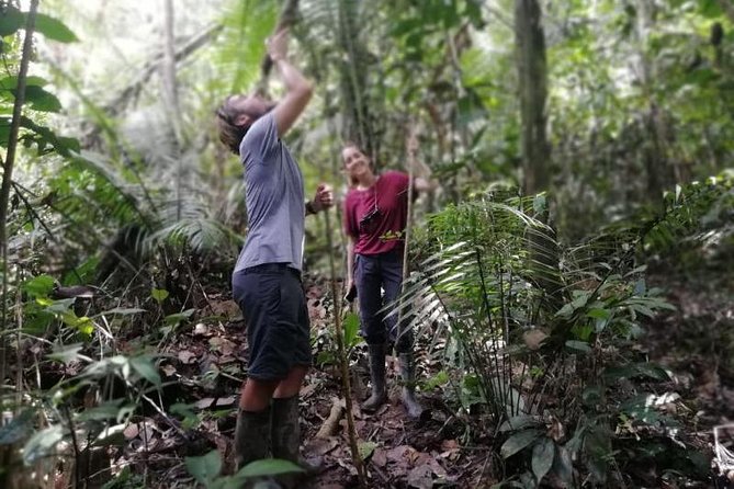 Pacaya Samiria 3Days/2nights - Amazon Wonder Expeditions - Exciting Wildlife Encounters