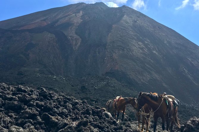 Pacaya Volcano and Thermal Pools - Health and Safety