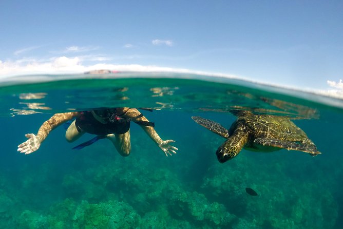 Paddle, Snorkel and Learn to Surf - All in a Day on Maui (South Side) - Kayaking Across Makena Bay