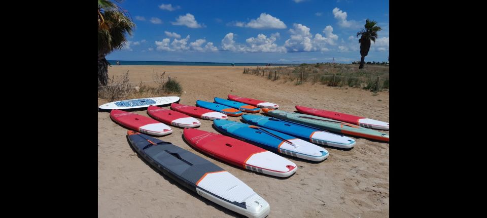 Paddle Surf Delivery Boards - Equipment and Inclusions