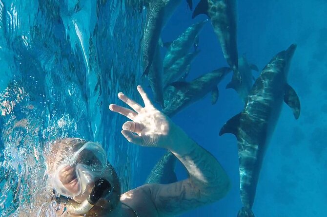 PADI Advanced Diving Course in Hurghada - Learn Scuba Diving - Inclusions and Costs