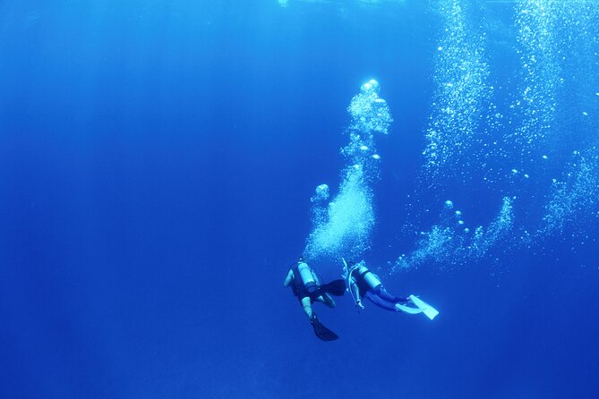 PADI Advanced Open Water Course - Tamarindo Diving Destinations