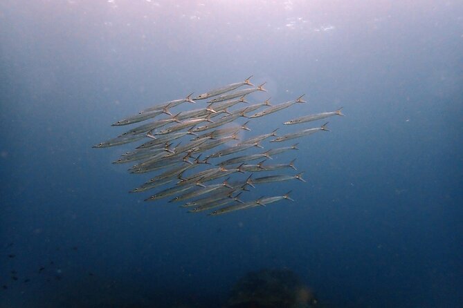 PADI Discover Scuba 2 Times Diving Phuket - Inclusions of the Experience