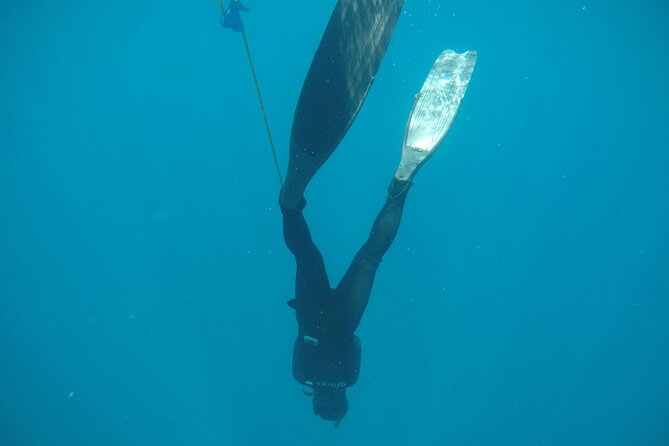 PADI Freediver Course - Freediving Techniques