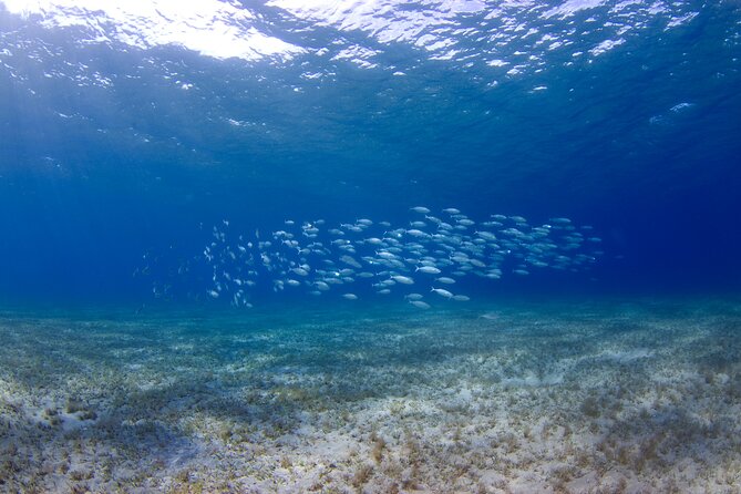 PADI Open Water Course in Gran Canaria - Nearby Amenities