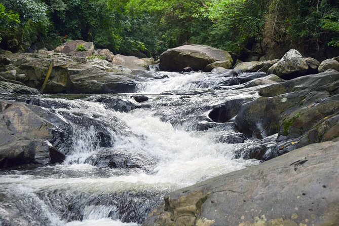 Pala U Waterfall in Kaeng Krachan Jungle With Private Guide From Hua Hin - Wildlife Encounters in the Jungle