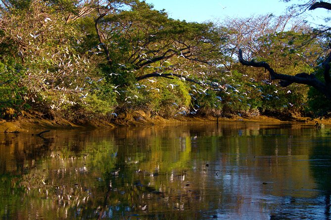 Palo Verde Boat and Farming Tour With Lunch - Inclusions and Amenities
