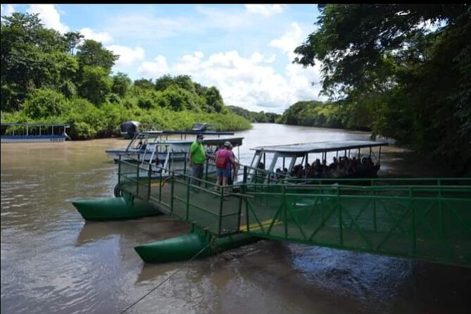 PALO VERDE NATIONAL PARK ( Boat Safari, 1/2 Day ) - Itinerary and Activities