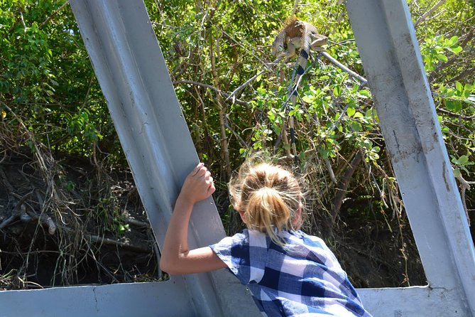 Palo Verde Wildlife Tour From Playa Hermosa-Coco Beach - Experience Details