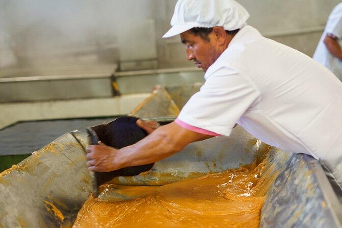 Panelero Tour a Sweet Experience Through Antioquia Culture - Tour Details and Itinerary