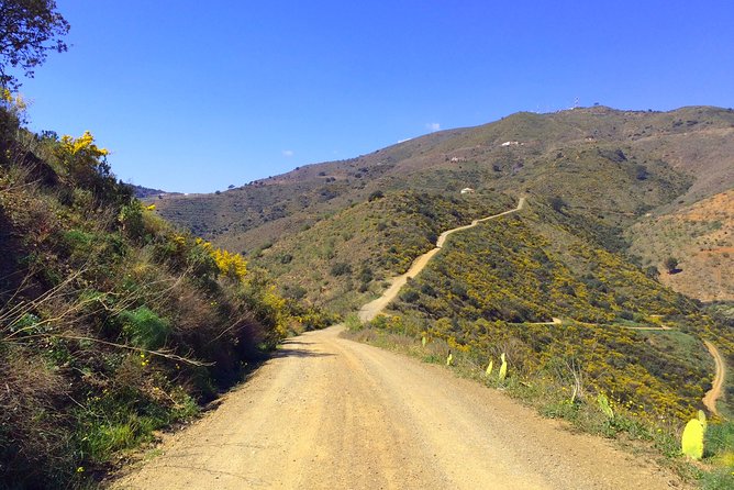 Panoramic Buggy Tour From Malaga - Requirements and Accessibility