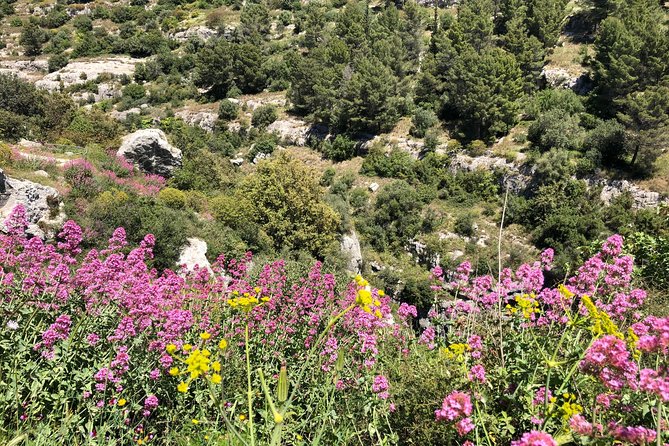 Pantalica Nature Reserve Walking Tour - Meeting at Temple of Apollo