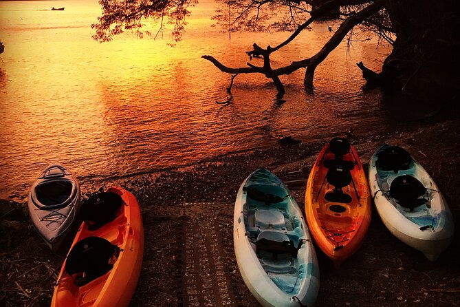 Paquera Sunset and Full Moon Kayak Tour - Exploring Bioluminescence at Night